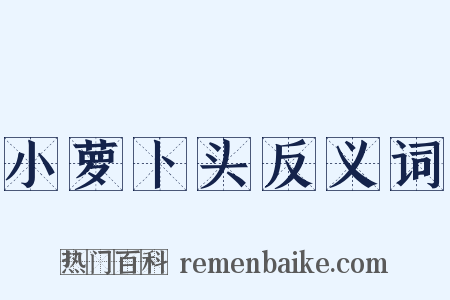 小萝卜头反义词是什么意思的图片